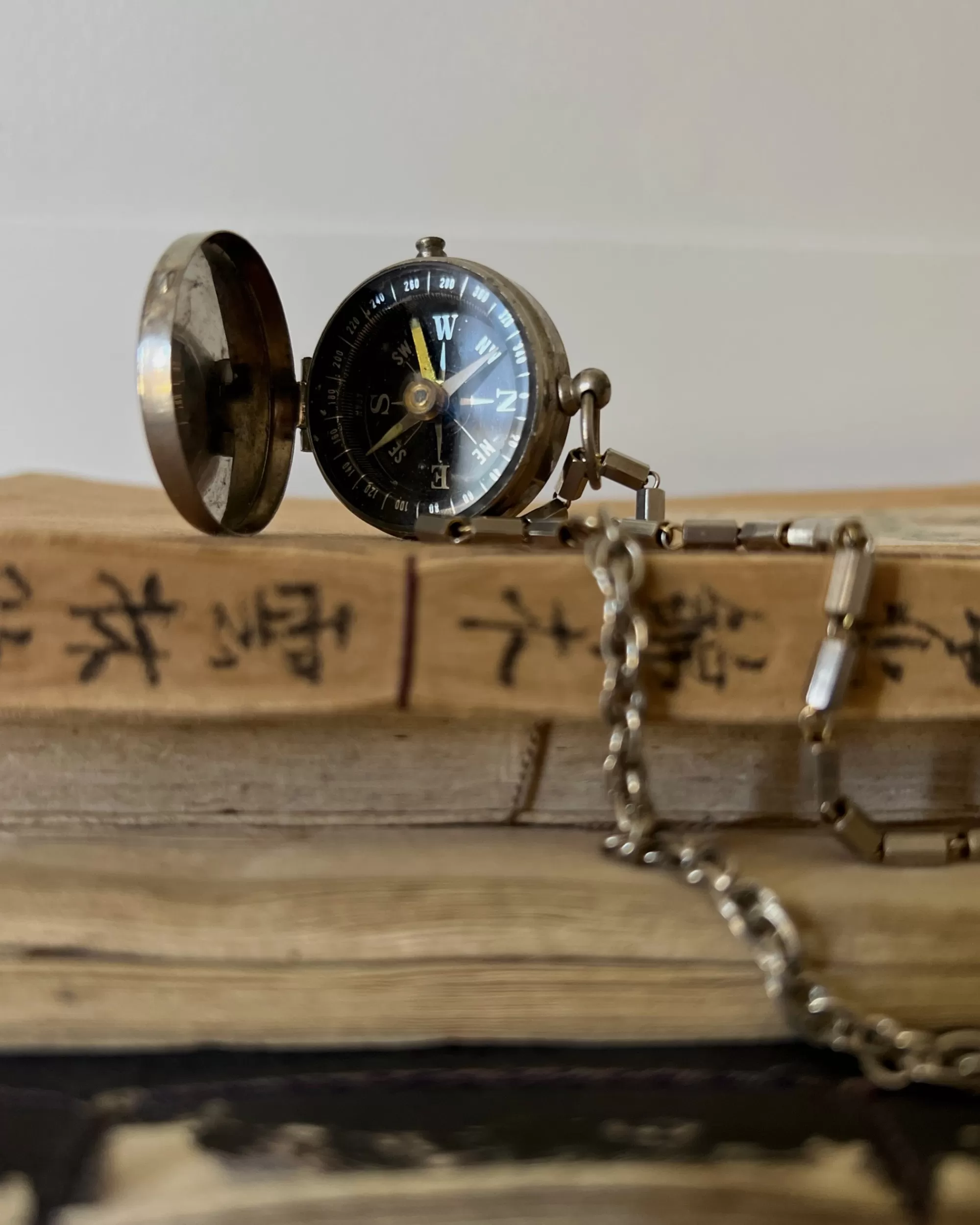 Clearance modern marcel : Vintage Compass Necklace