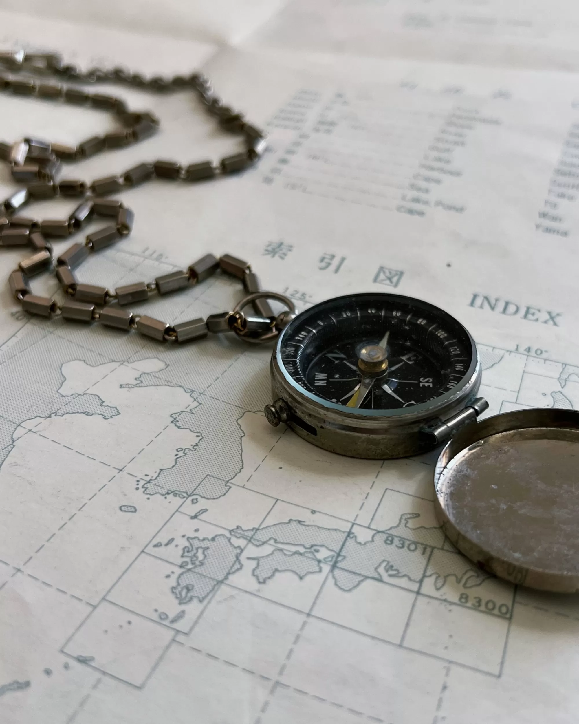Clearance modern marcel : Vintage Compass Necklace